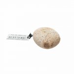 Stone-Carp-Lead-with-Swivel-Sand-carp-accessories