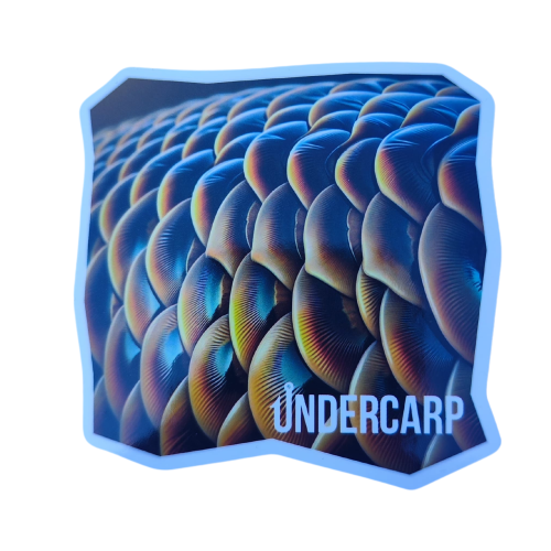 undercarp Sticker Scale Carp